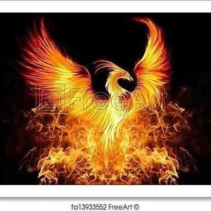 Meet your Posher, Shawna